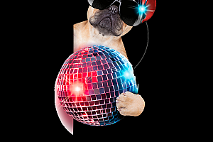 Perfect Dance – Music Party【 Game code 】