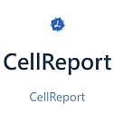 CellReport, a tool for creating and running complex statistical reports