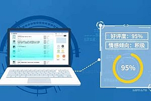 Sentiment analysis system based on SKEP algorithm