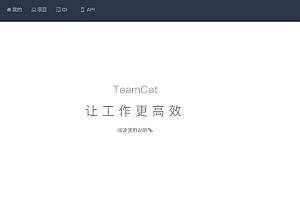 TeamVision: Efficient software project management, collaboration tool
