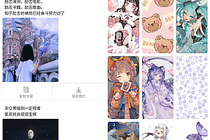 Copywriting gallery avatar wallpaper applet source code _ with background