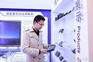 After ten years of entrepreneurship, Gu Xin and his network of people have created a new world