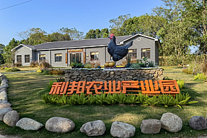 Nanchang, Jiangxi: Post-90s young man raises chickens and starts his own business, composing the “song of youth” for rural revitalization