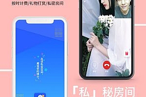One-to-one live broadcast app mall, video voice chat, same-city dating applet, source code software customization