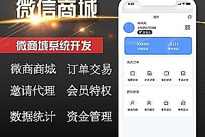 Micro mall system development, transaction agency, advertising member H5 construction, secondary development, finished product source code construction customization