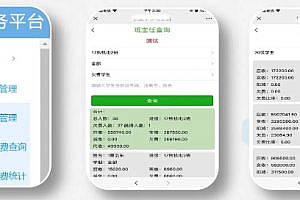 The source code of the school’s online management applet and the campus payment applet is sold