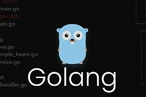 Lightweight elastic search engine based on GO language Zinc