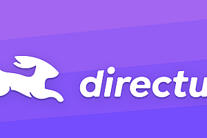 Real time API and application dashboard for Directus database content