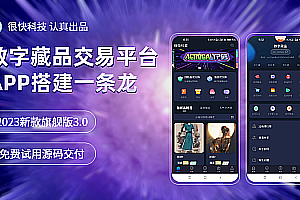 NFT digital collections, NFR digital collections, exchange casting, auction, blind box mall, applet, appH5 system, software platform, source code model, custom development, construction, and production