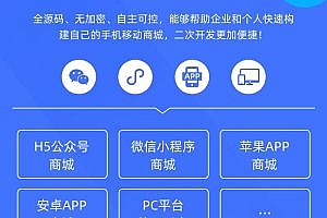 Single-merchant advanced mall system