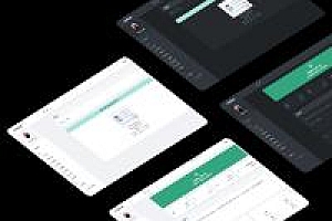 OneTheme1.0 Easy Pay Template, the latest available