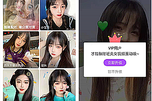 1V1 live video streaming system