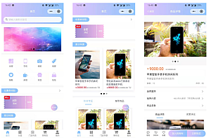 Mini Program Source Code Multi Store Chain Pharmacy Mall System Distribution Promotion