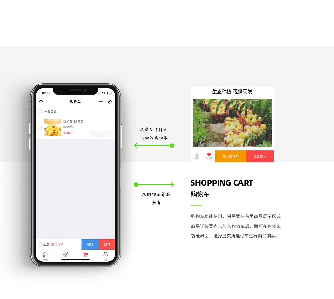 Yellow peach small program source code插图4
