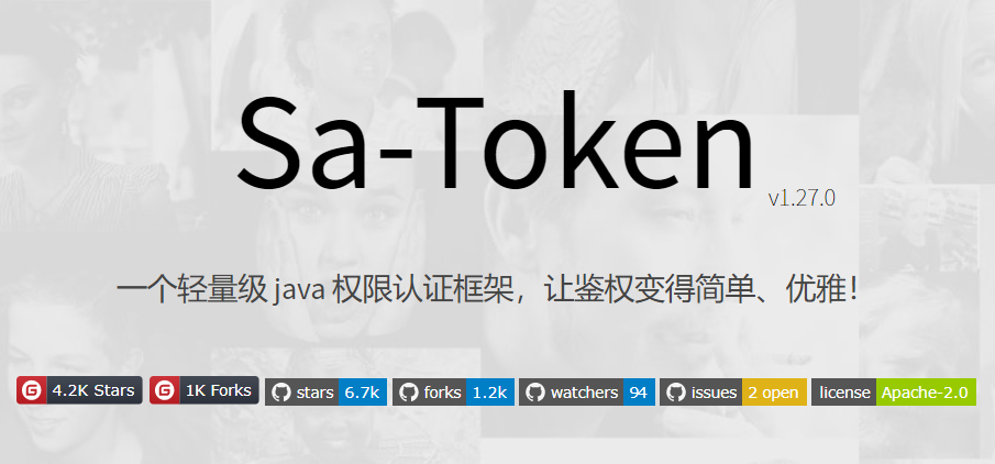 A lightweight Java permission authentication framework – Sa-Token插图