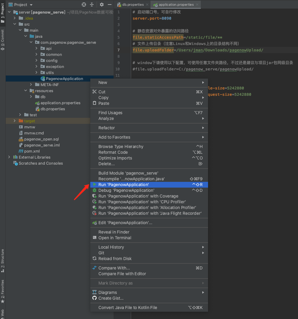 PageNow- Basic open source data visualization development platform插图4