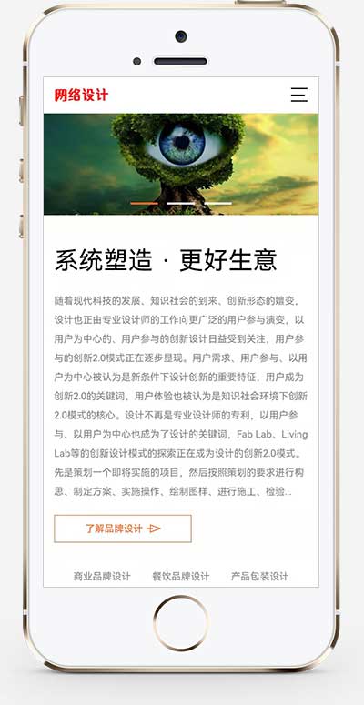 (Responsive Mobile) Brand Planning and Design Company Website Source Code Web Design Company Pbootcms Website Template插图