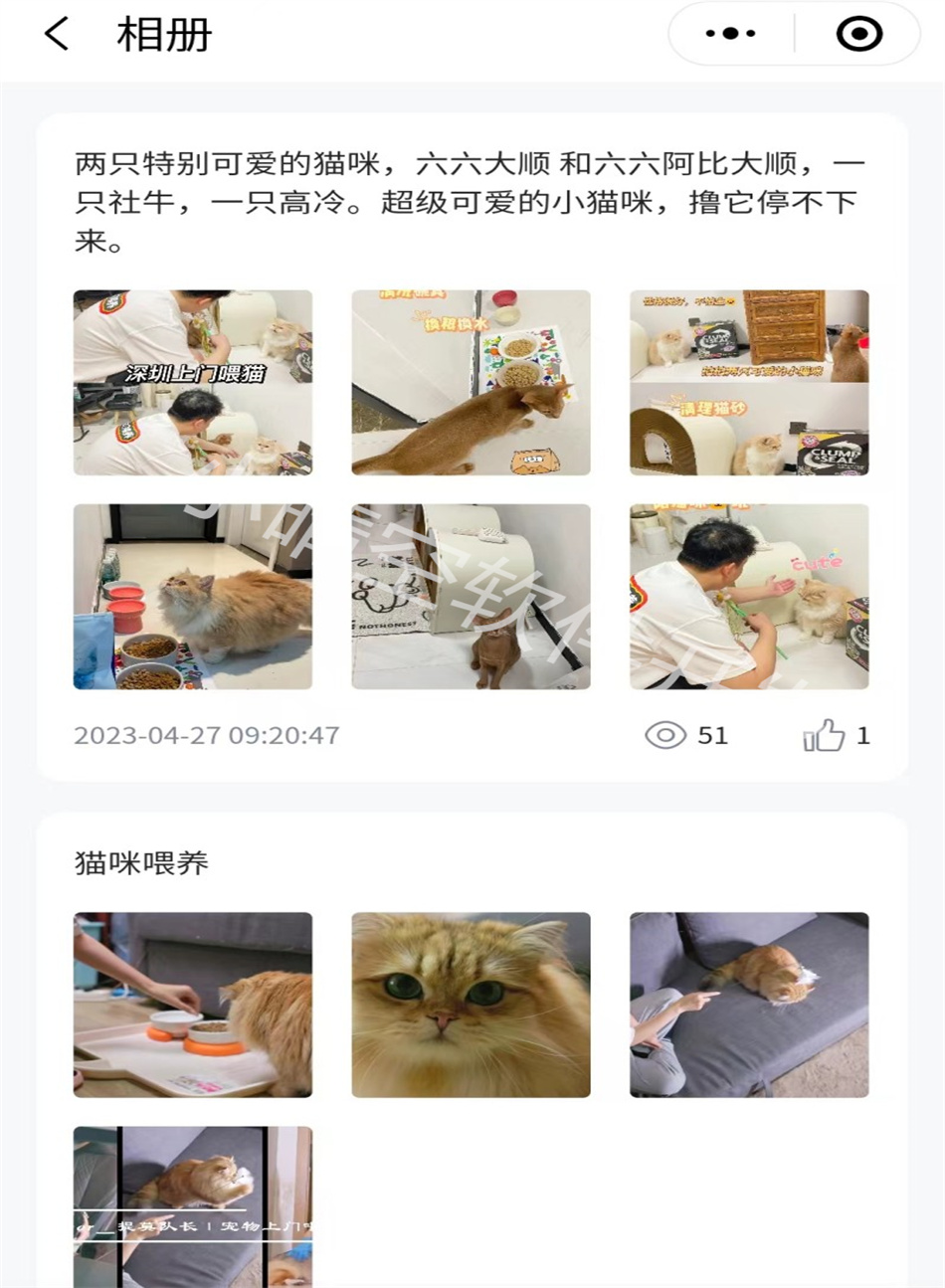 Pet appointment home service applet pet nursery home service applet pet appointment service applet door-to-door service applet插图1