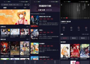 Imitation of small turtle film and television small video online playback APP source code V2.1 docking Apple CMS V10 background插图