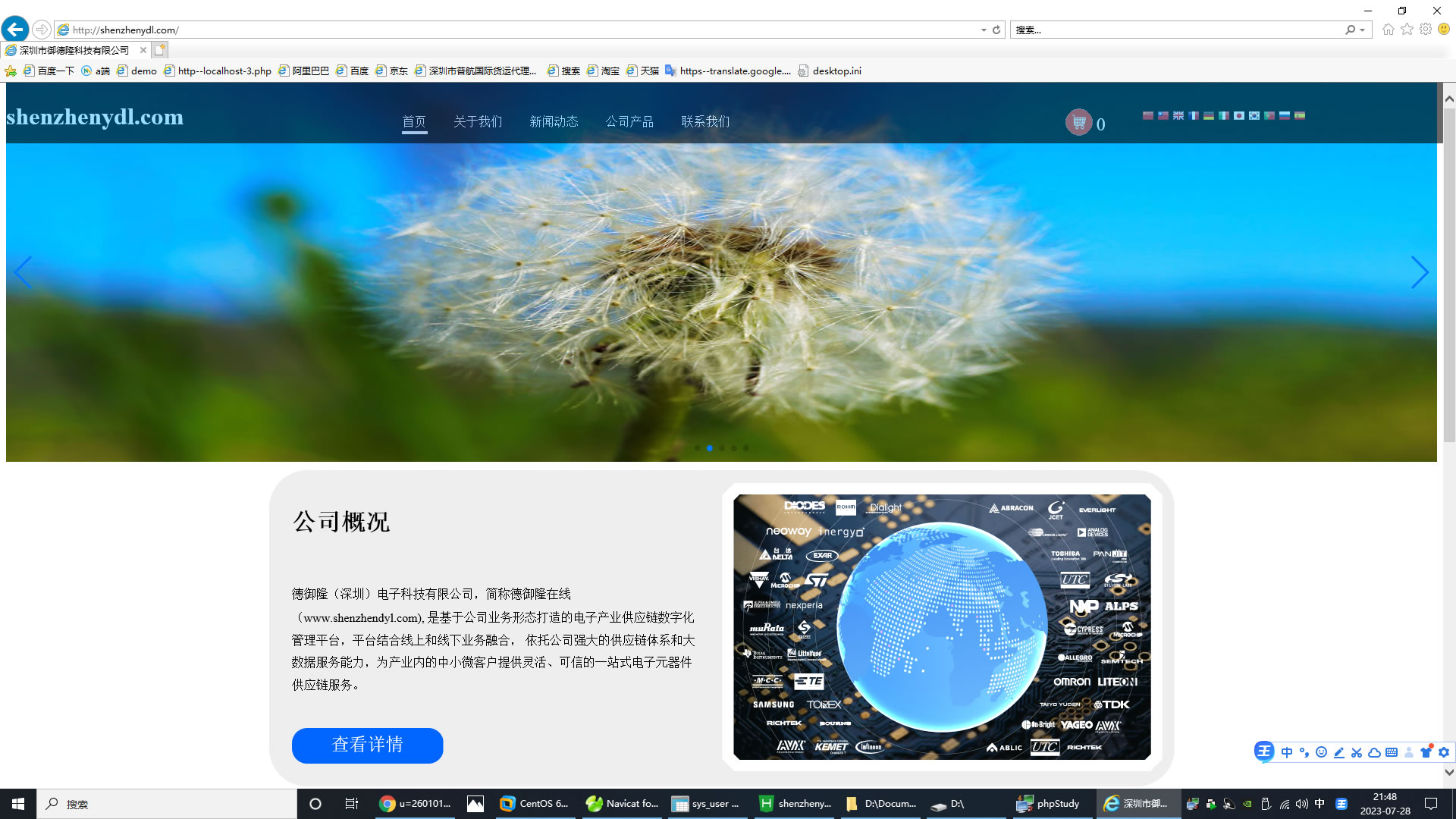 Foreign trade electronic technology company website插图